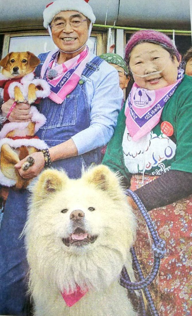 Watch 2ちゃんねる 悲報 ブサカワ秋田犬 わさお 死ぬ 推定13歳 Watch ２ちゃんねる T Co 90jyntts5v