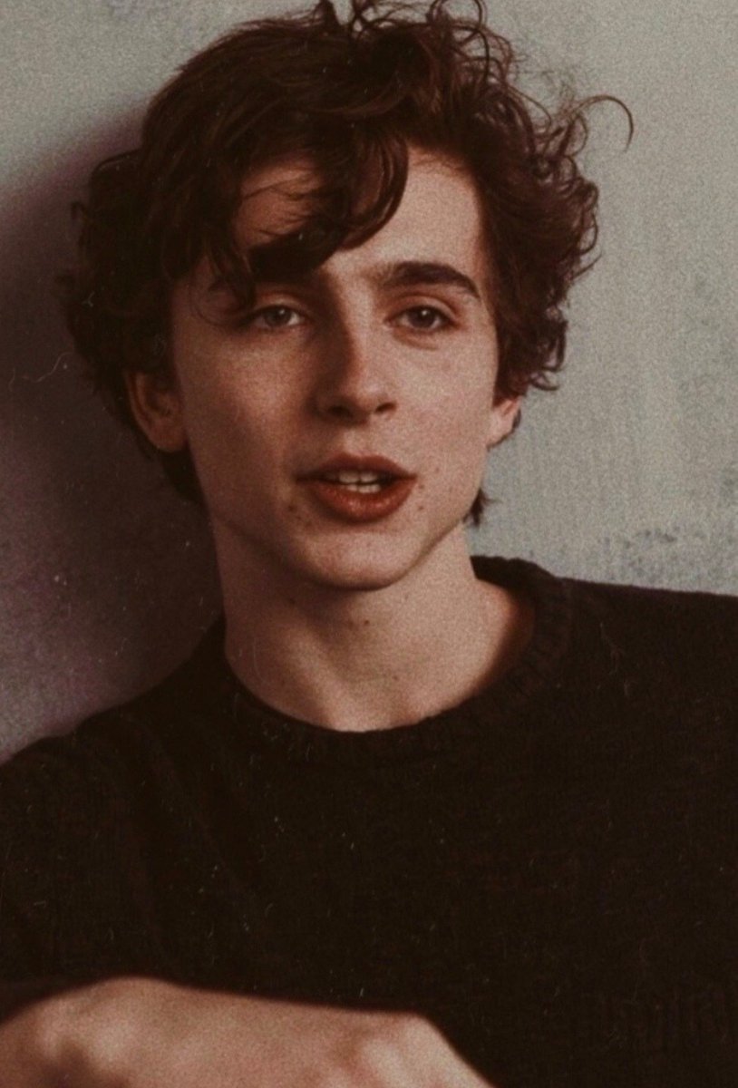 Freiry9's tweet photo. Não tem como chamar o Timothée Chalamet de feio. Ele LITERALMENTE desceu o olimpo https://t.co/cRDw445mPb