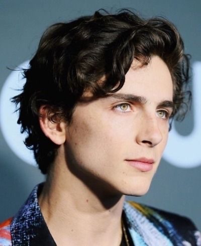 Freiry9's tweet photo. Não tem como chamar o Timothée Chalamet de feio. Ele LITERALMENTE desceu o olimpo https://t.co/cRDw445mPb