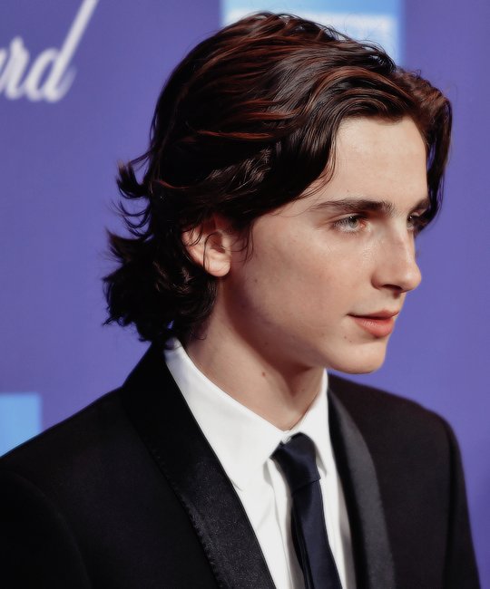 Freiry9's tweet photo. Não tem como chamar o Timothée Chalamet de feio. Ele LITERALMENTE desceu o olimpo https://t.co/cRDw445mPb