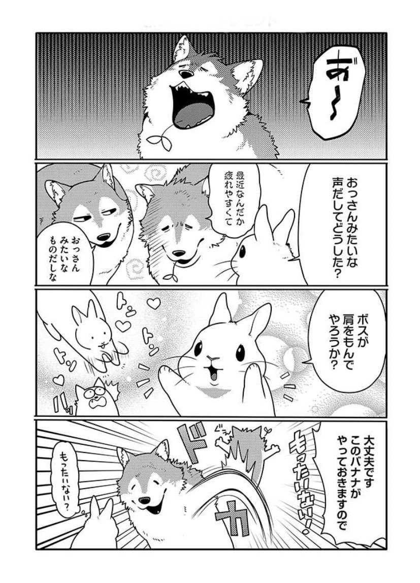 うさぎは正義98話更新されました T Co Mrvjcvejgr 井口病院 の漫画