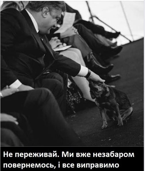 Венедиктова о подозрении Стерненко: Решения принимают следователи и прокуроры - Цензор.НЕТ 6125