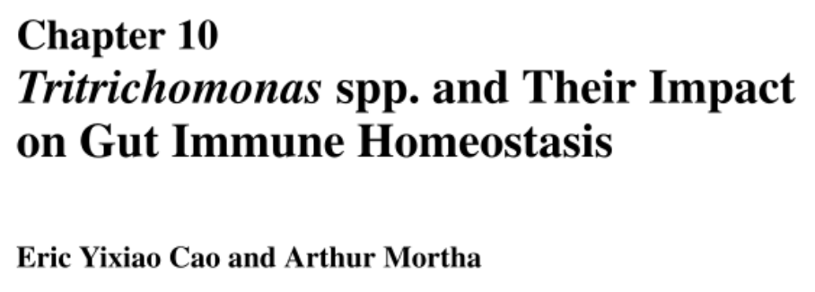 Arthur Mortha tweet media