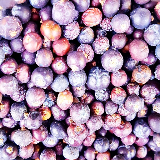 SpringmountG's tweet image. Did you know that the word Juniper means gin in both French and Dutch? 😎

#springmountspirits #springmountgin #parboldgin 
#ginspiretheworld #parboldgin #bestginever #ginislife #ilovegin#visitlancashire #pressforgin #lancashirelife #ginspire