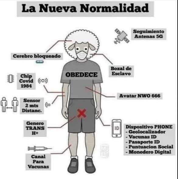 Sr. Stela #Spexit tweet media