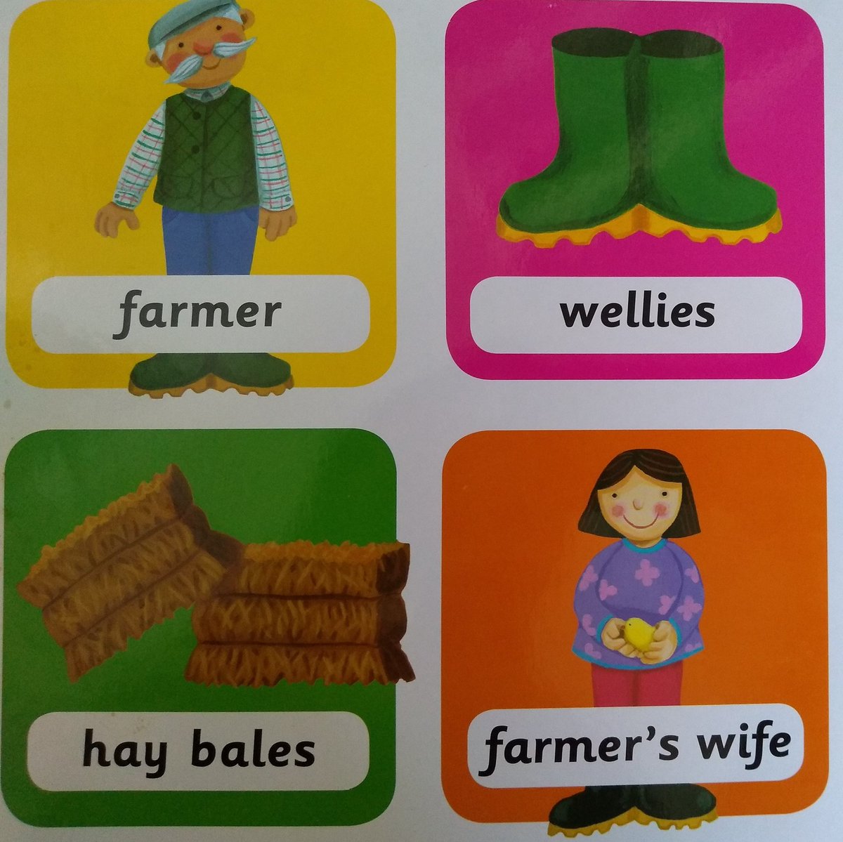 One day I dream of being the farmer's wife. This isn't the best look <a href="/ladybirdbooks/">Ladybird Books</a> it's in the 2016 edition of this book! #childrensbook #picturebook #learning #gender