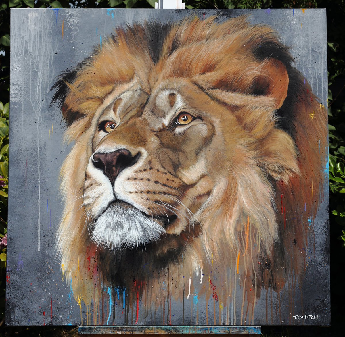 Simba 🦁 #wildlifeart #art #painting #lionpainting