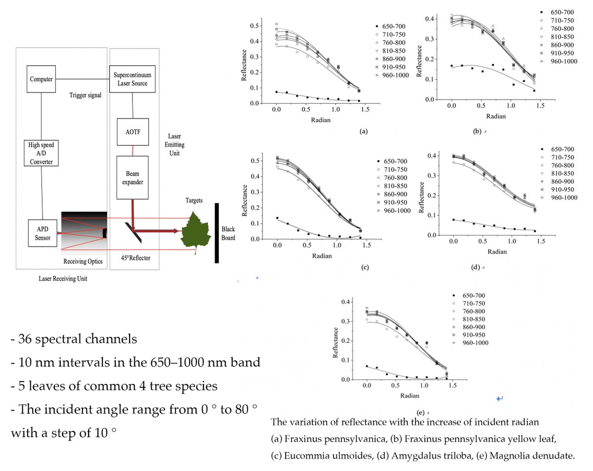 RemoteSens_MDPI's tweet photo. Analyzing the Angle Effect of #LeafReflectance Measured by Indoor #Hyperspectral Light Detection and Ranging (#LiDAR)
by Peilun Hu, Huaguo Huang, et al.
👉https://t.co/TPzwo0EkU5
#remotesensing https://t.co/sw6t08R8zN