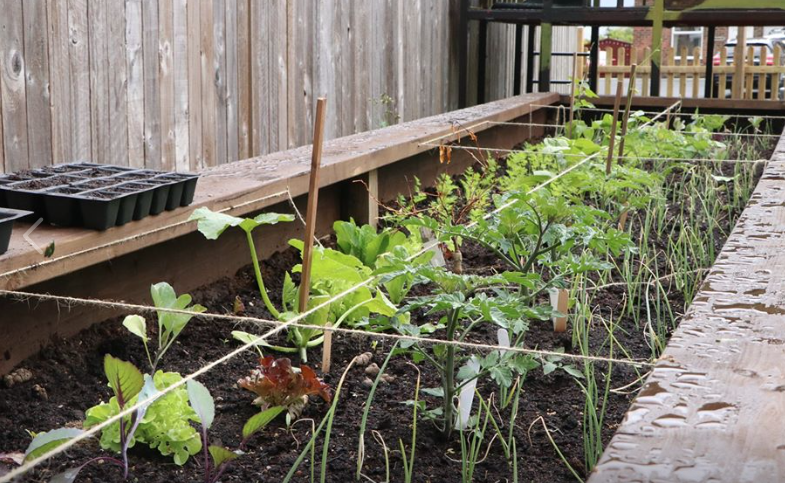 BrightBarlby's tweet photo. A few photos of our community raised beds on Howden Road #Barlby Although they're quite full they will look amazing as they grow #BarlbyBright https://t.co/61wLqnhFSx