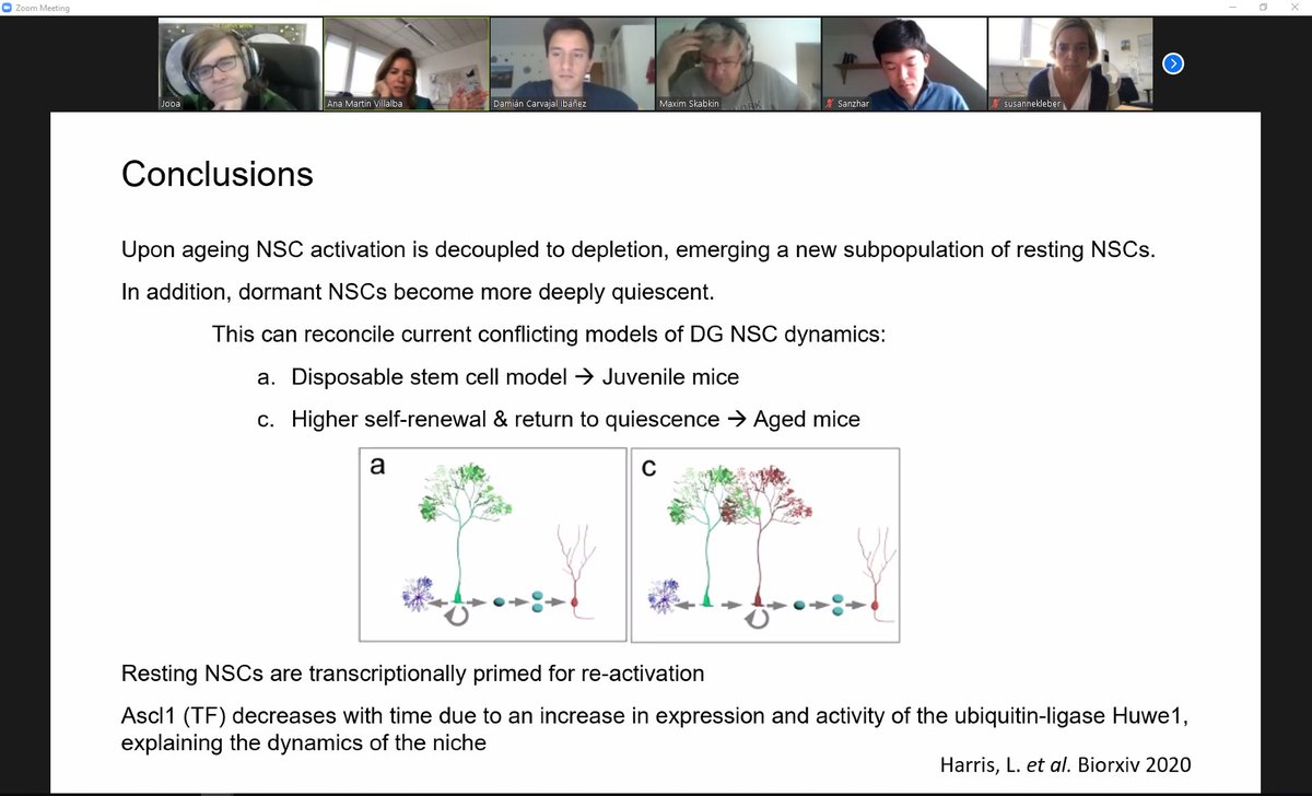 Martin-Villalba Lab tweet media