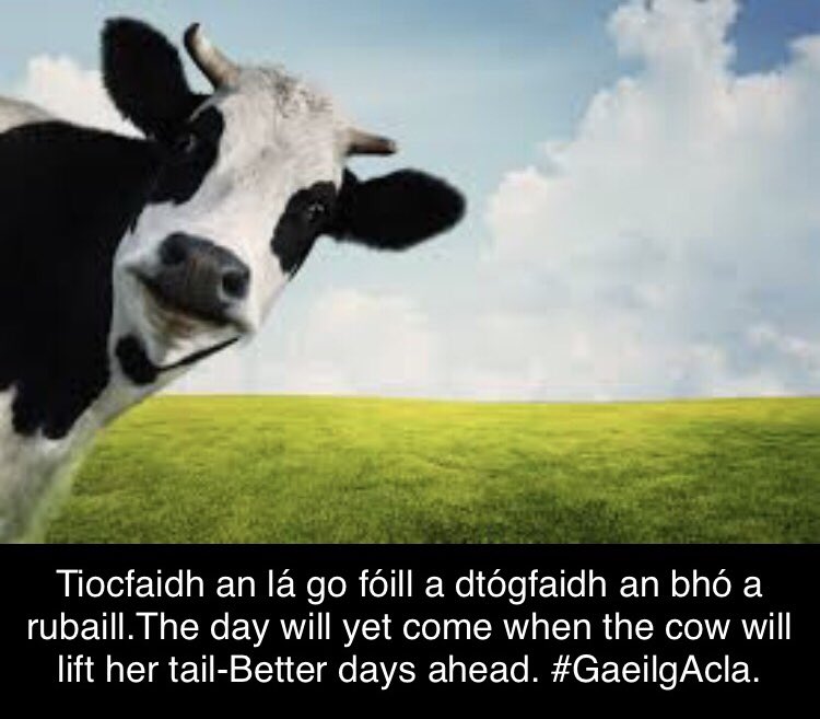 “Tiocfaidh an lá go fóill go dtógfaidh an bhó a rubaill” There are better days ahead. #GaeilgAcla #OileánAcla #Acaill #Achill #Mayo #gaeltacht #seanfhocal #gaeilge #gaeilgeabú #gaeilgeleglam #gaeilge2018 #gaeilgevibes #gaeilgoirí #gaeilgeoir #asgaeilge