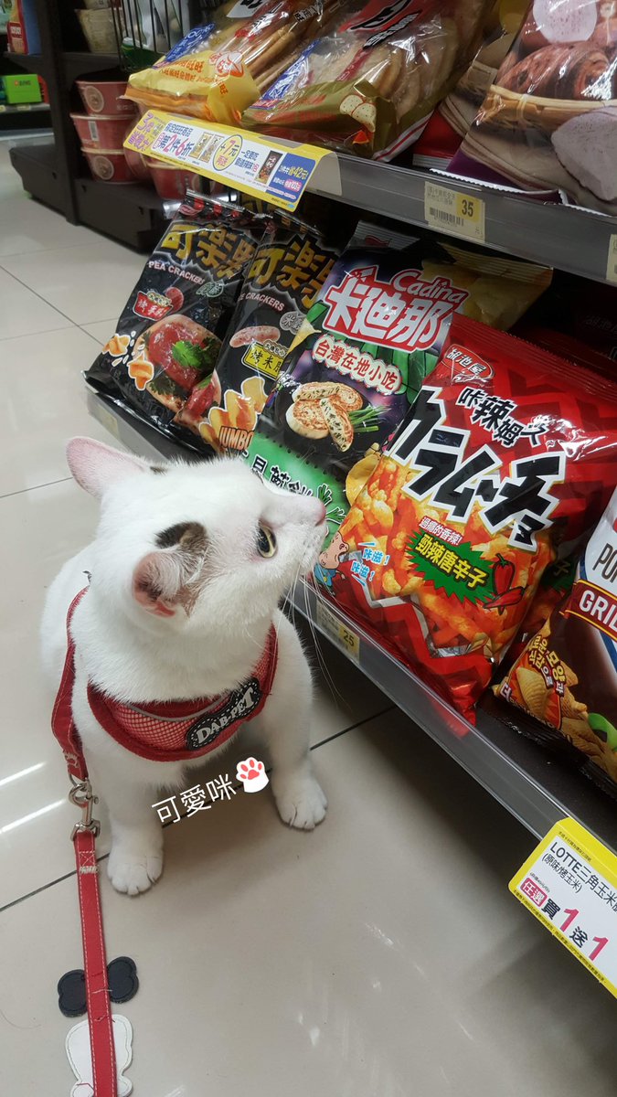 可愛咪 Ztij9cz1qkomsuo Twitter