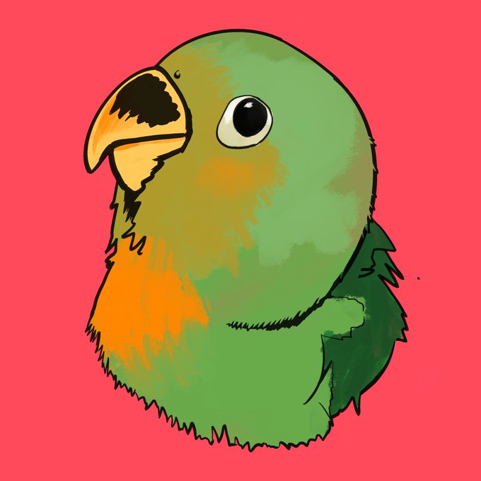 ヤエザクラインコのtwitterイラスト検索結果 ヤエザクラインコのtwitterイラスト検索結果