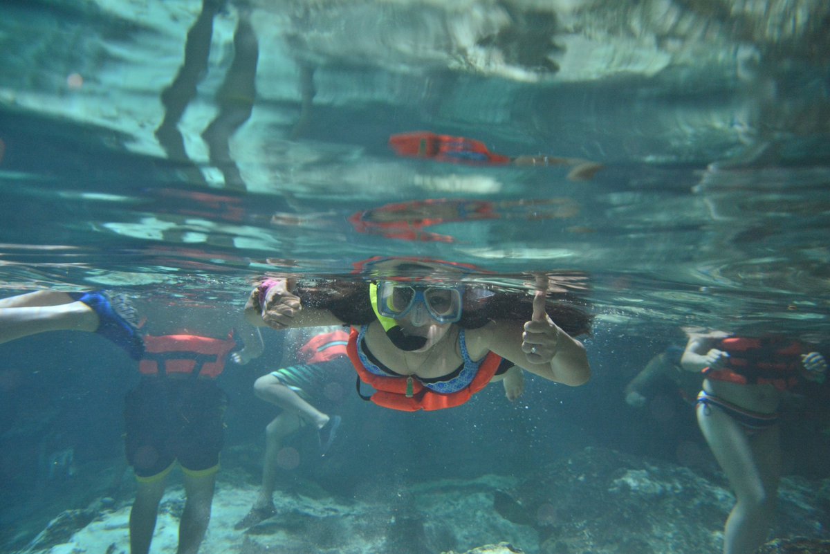 Steigen Sie in die Dämmerung der Cenote und holen Sie sich einen Hauch vom Geheimnis! aktun-chen.com/de/underwaterr…