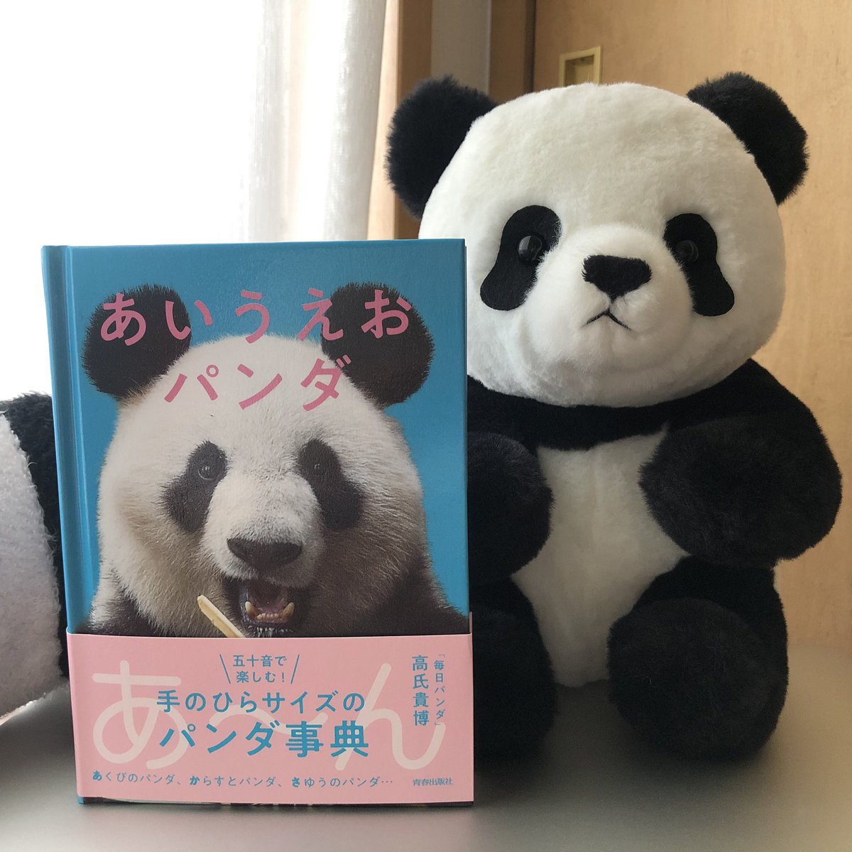 にっこりシャンシャン