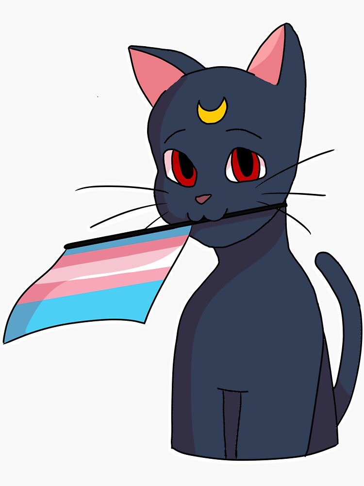 SAlLORAINO's tweet photo. Hey guys! check out my red bubble to get these Luna from sailor moon with pride flag stickers (other items available!!)

https://t.co/CArqFONIdW

(more flags will be coming this week!!) https://t.co/XAvzvbg14y