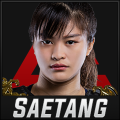 Everest MMA tweet media