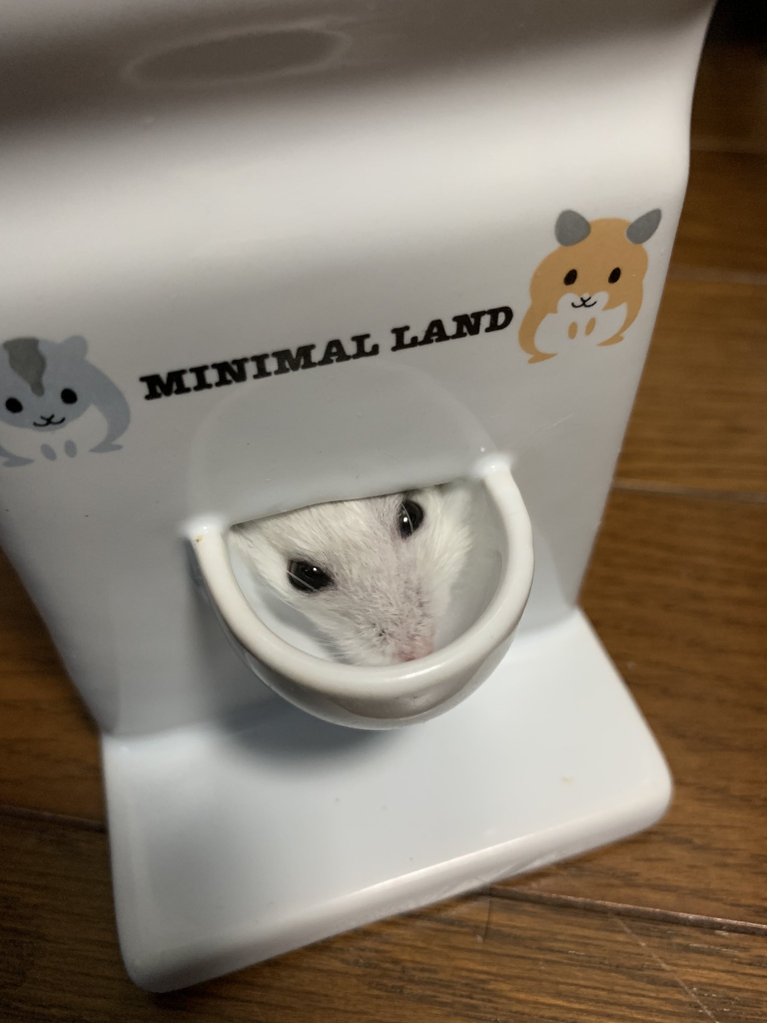 Netgeek動物 ハムスターさん あんたなんで給水器の中にいるの Netgeek T Co Ziiq7hocpr T Co Dx3zvbrn1r Twitter