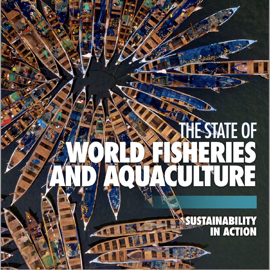 .<a href="/FAOpesca/">Pesca y Acuicultura</a> lanza informe #SOFIA2020: “El Estado Mundial de la Pesca y de la Acuicultura 2020”. Destaca la contribución de #acuicultura a la seguridad alimentaria mundial con una producción de 82,1 millones TM en 2018. El 89% se produjo en Asia. bit.ly/3hanSh6