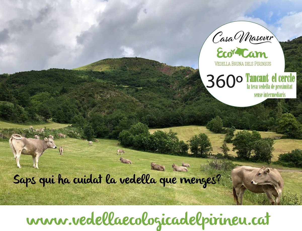 Saps qui ha cuidat la vedella que menges? A partir d’ara segur q ho saps #100% #vedellabrunadelspirineus #vedellaecològica #vedelladeproximitat #delproductoralconsumidor #senseintermediaris #tanquemelcercle #360º #delpirineu #Pallars #Buira #Valldemanyanet #Pallars #Catalunya
