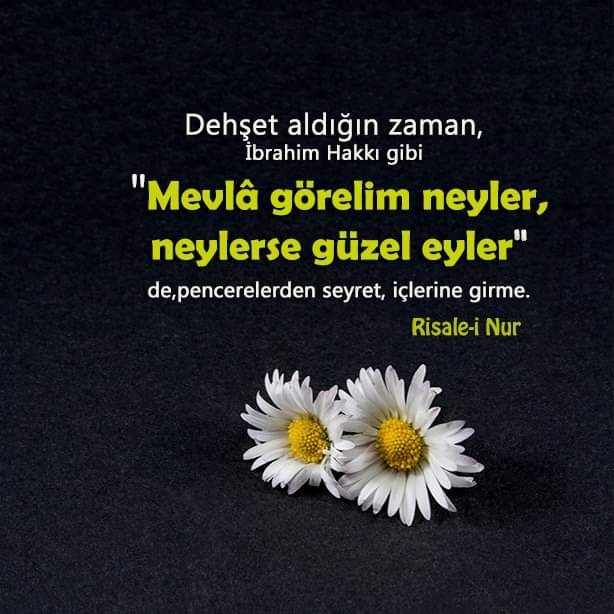 Dehşet aldığın zaman, İbrahim Hakkı gibi "Mevlâ görelim neyler, neylerse güzel eyler" de, pencerelerden seyret, içlerine girme.
Asa-yı Musa 

#nurtalebeleri
#mekke #medine #kabe #allah #sav #makkah  #türkiye #rnk
#risale #risaleinur #saidnursi #bediüzzaman