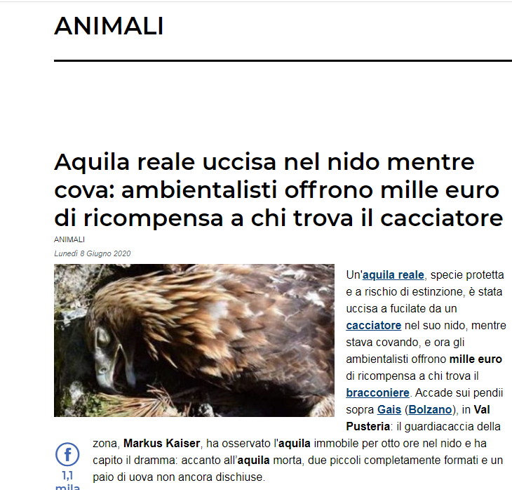 lupask71's tweet photo. #bracconaggio #AquilaReale
che uomo di merda, scusate il francesismo https://t.co/GG3TTuymqC