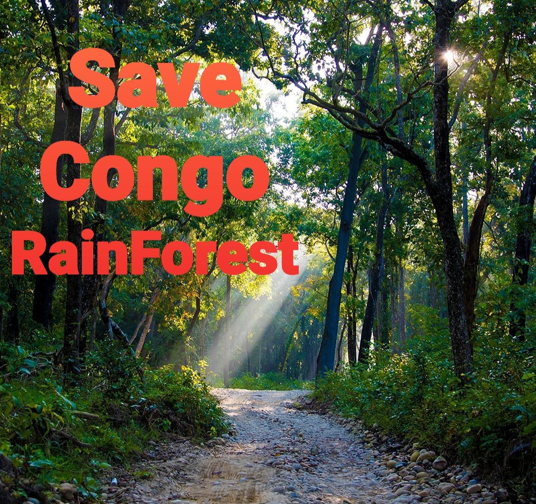 tukwa2's tweet photo. #SaveCongoRainforest 
#SaveCongoForest_Flora_Fauna 
Climate strike online
#climatecrisis
Solidarity
#savetheplanet
#operationcleanseas
#russiaoilspill https://t.co/WeWNSWPdXo