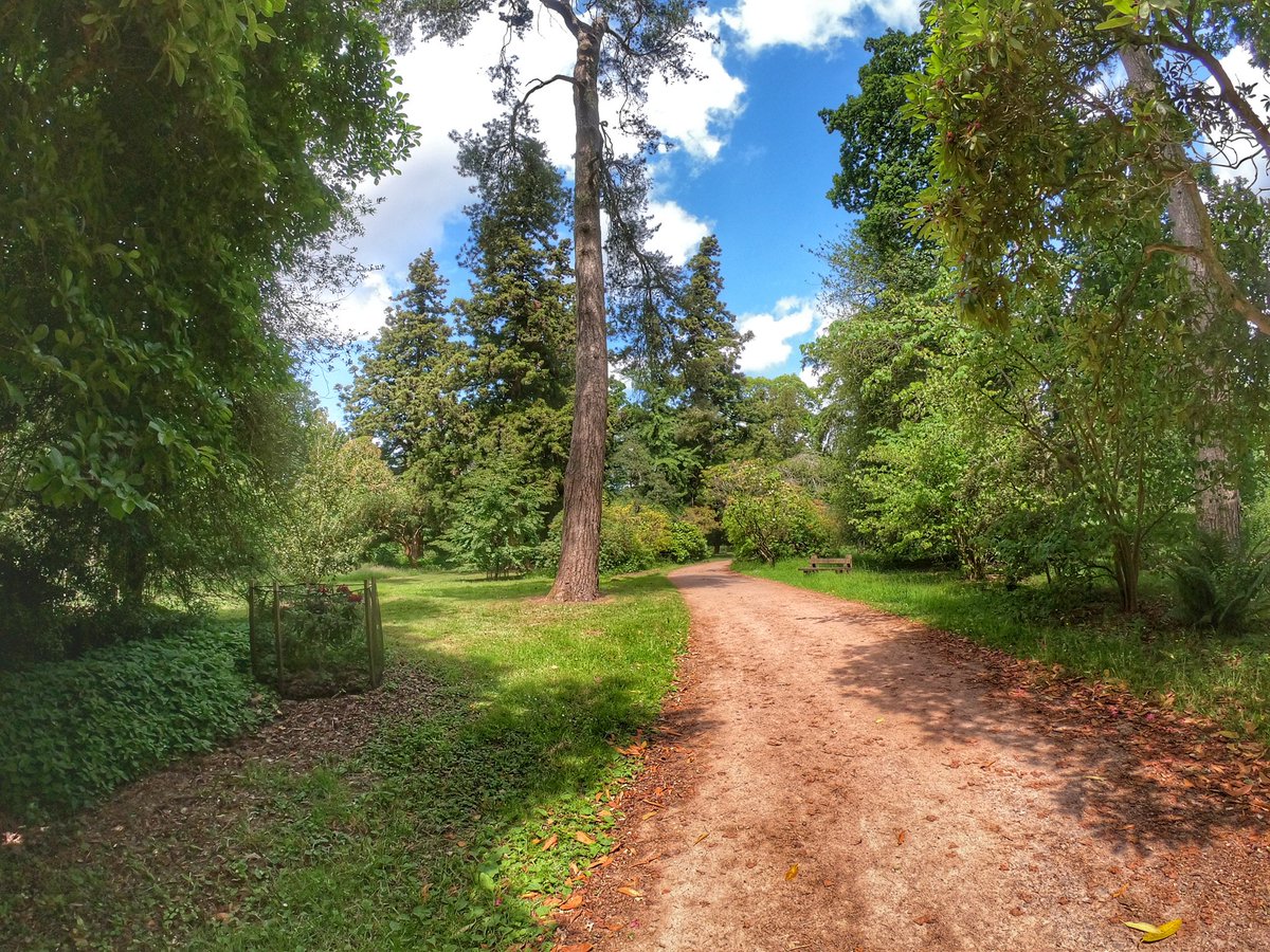 paulandcarole's tweet photo. We had a fabulous day out yesterday for our anniversary at Westonbirt Aboretum.
Thanks so much for all your lovely messages too!
#westonbirtarboretum #westonbirt #tetbury #Gloucestershire #Forestry #TravelTuesday #magicaltrees #anniversary #happiness #paulandcarole https://t.co/EOW3zdMyag