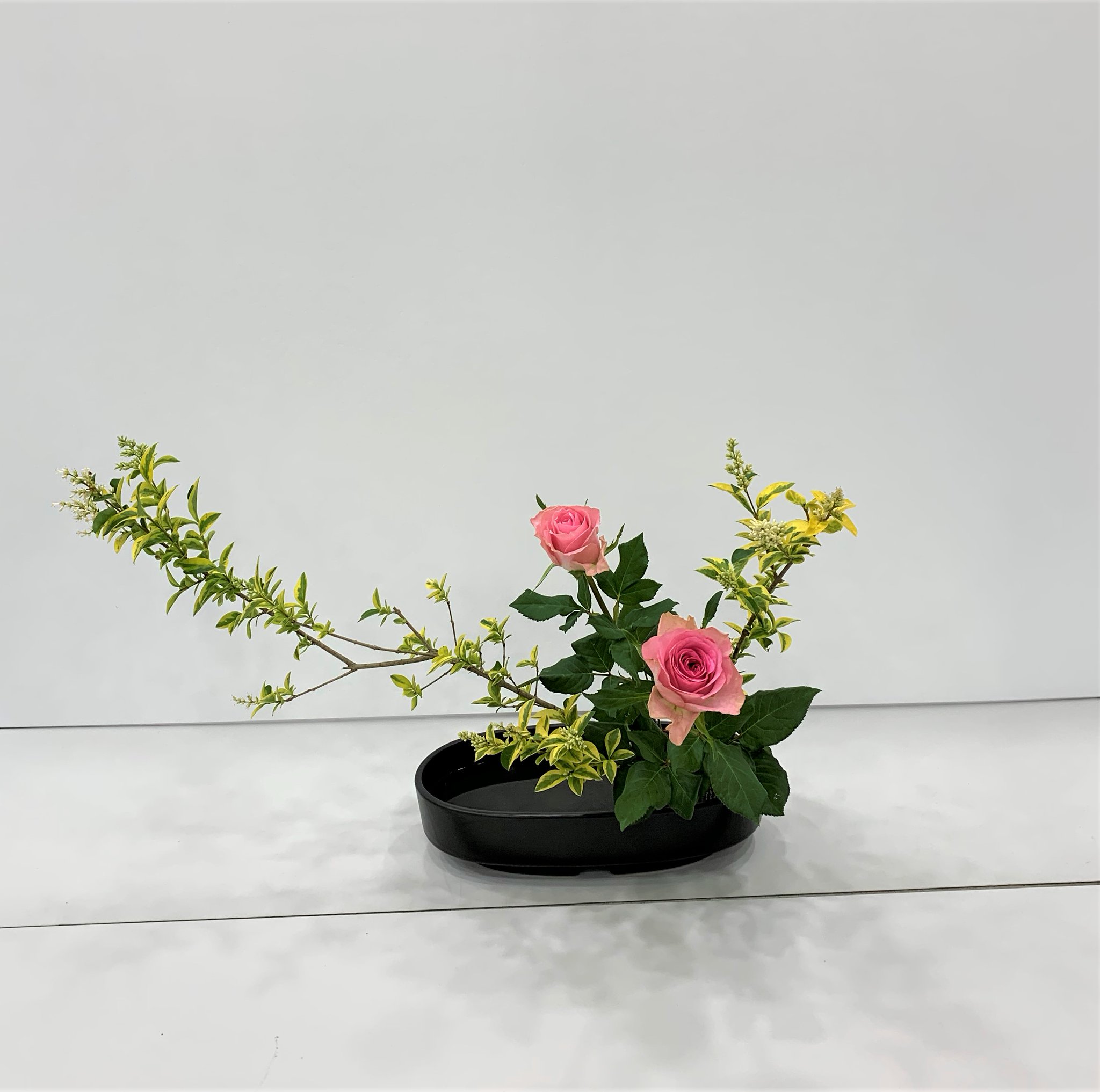 花を届ける 1aa72bc481e41b46a7835a8a1c0af1