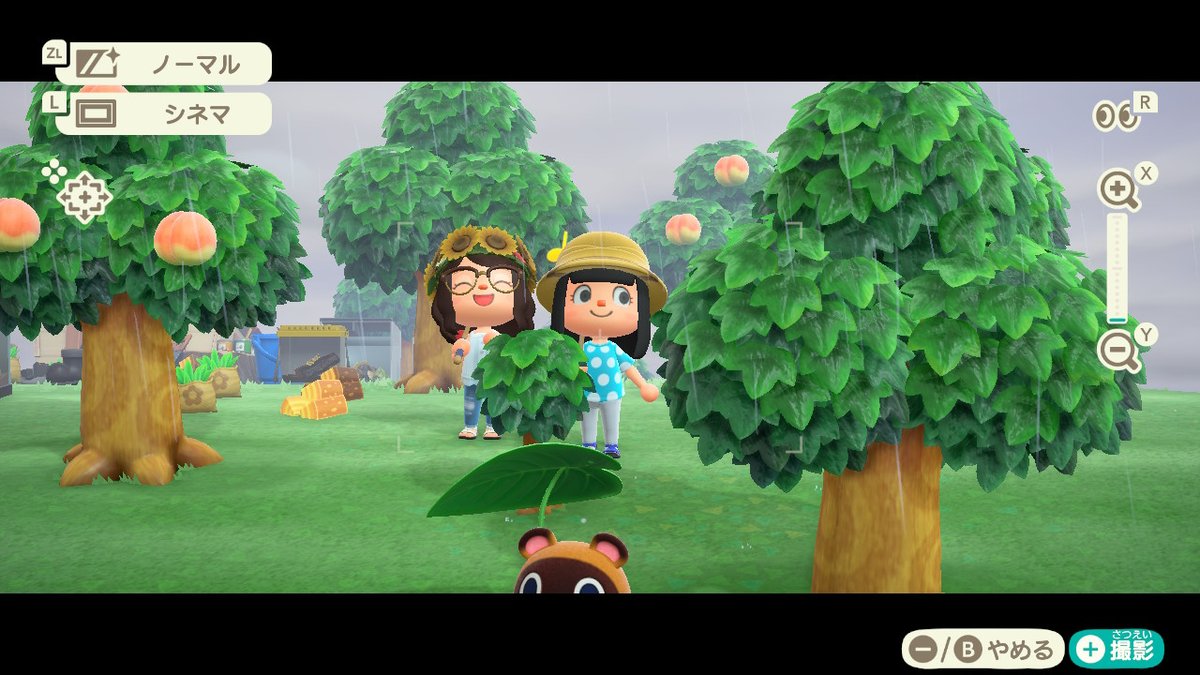 haribo_so_m's tweet photo. #どうぶつの森 #AnimalCrossing #ACNH #NintendoSwitch https://t.co/lSgYKngylG