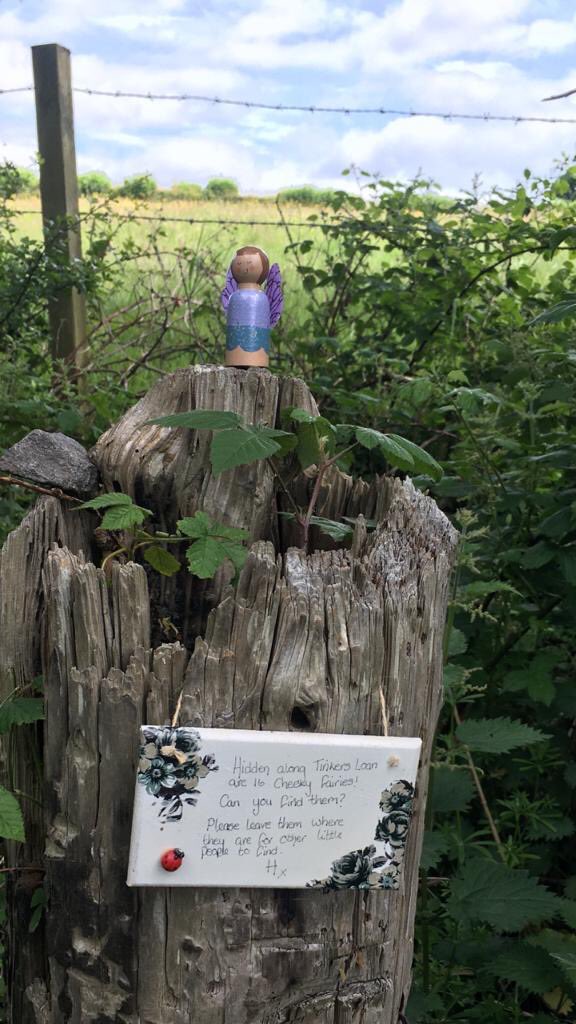 BorestoneNG's tweet photo. Mrs Walker and Mr McLean discovered these little fairy friends on their walk recently. You might spot them if walking along Tinkers Loan towards Chartershall 🧚‍♀️ https://t.co/dkpNJr6aGD