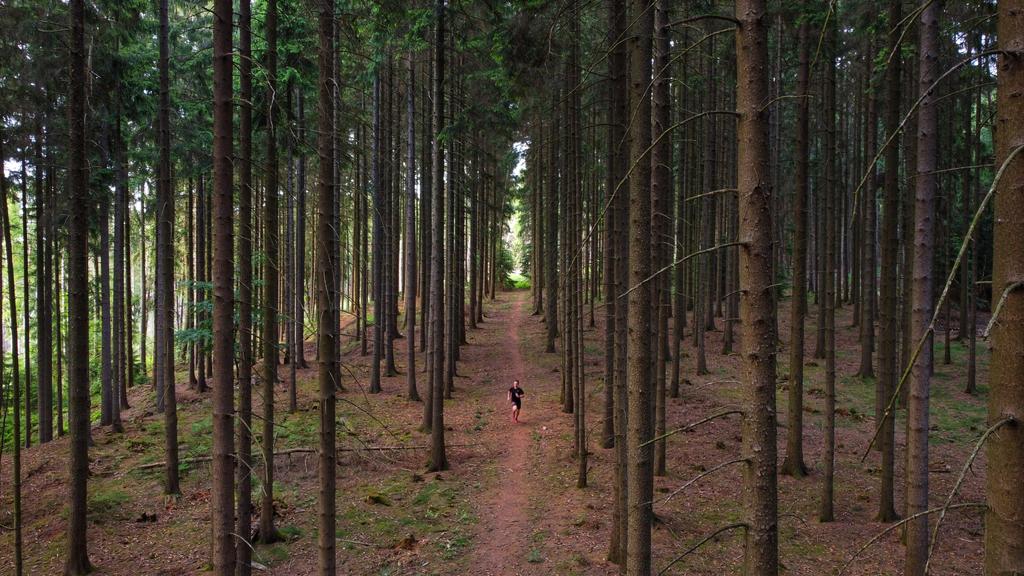 jaeger_d_berge's tweet photo. Gestern noch eine kleine Runde gedreht. Fazit der Fuß tut noch ziemlich weh. Scheiße wenn man am Wochenende 4h laufen will.

Dafür ein bisschen länger die Drohne ausgeführt.

#AbNachDraussen #VirtuallyUnited #BEATYESTERDAY https://t.co/1bpVmnscPn