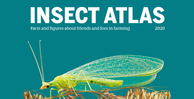 foeeurope's tweet photo. NEW: Insect Atlas reveals how industrial farming is wiping out insects & threatening harvests:
📉 41% of insect species are in decline
☢ 4 million tonnes of pesticides are sprayed every year
💰 four corporations control 2/3 of the pesticides market
https://t.co/pl91IfoWUk https://t.co/thMoEAGYN6