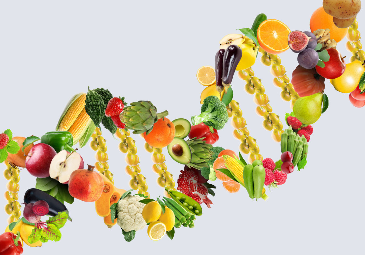foodtech_20's tweet photo. #Online #event : https://t.co/xDUwmoNutF
Increasing #food #intake by swapping #mitochondrial #genomes
#foodtech #foodwaste #nutricion 
For queries, contact: foodexpo20@gmail.com https://t.co/XFe0EMu5cY