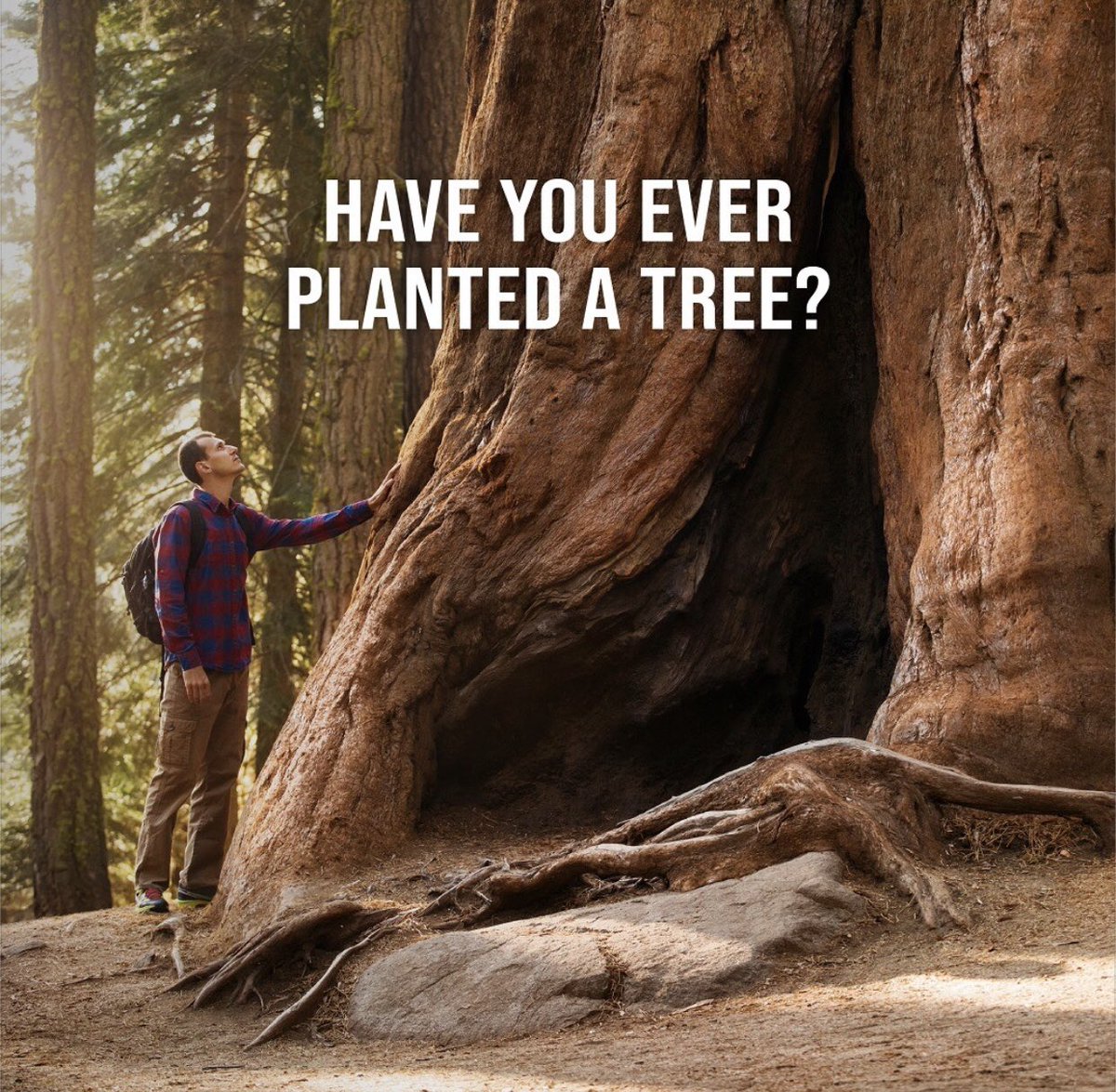 ggfccompany's tweet photo. Yes I have! #ClimateChange https://t.co/AEdRlaDzbk