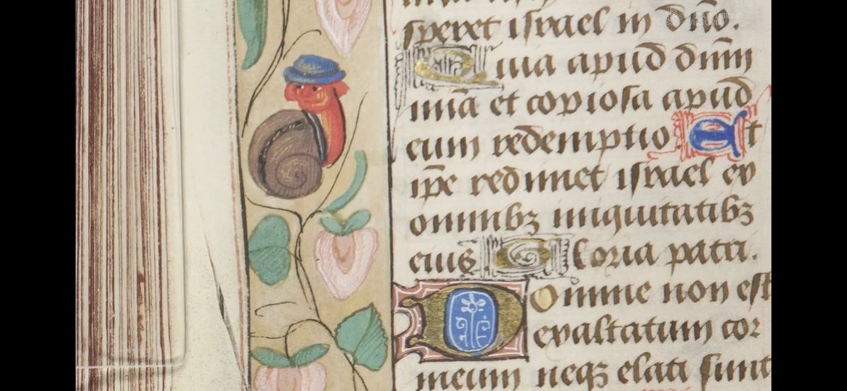 BLprintheritage's tweet photo. Manicules; children’s scribbles and doodles; “Cat Nuns”, Christ as a Lion; snails (obvs); censorship of Copernicus; thoughts from Shakespeare on drunkenness; Wynkyn de Worde’s inky fingers? 
☞ *Wonderful* video post from @Library_Vic on #marginalia 
https://t.co/ew93vyalOg https://t.co/qltLuI4ay9