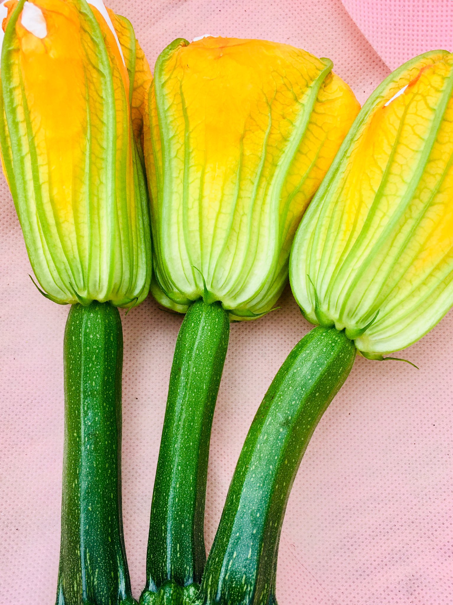 旭川の八百屋さん アミューズマーケット 花を食べるズッキーニ 中に何を詰めましょう 花ズッキーニ 写真は雌花 花だけのものは雄花 花ズッキーニ アミューズマーケット お花を食べる 北海道野菜 産直野菜 おうちごはん フリット チーズ