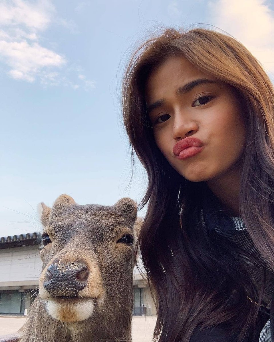 GlitterChannel8's tweet photo. Boodle Store Celebrity Pet Lover Feature: Maris Racal selfie with this cutie pie deer. @mariesteller Ober deer π #MyPetLoverPh #pets - #BoodleStoreAndResto #BoodleStore https://t.co/eyOCxb4vjQ