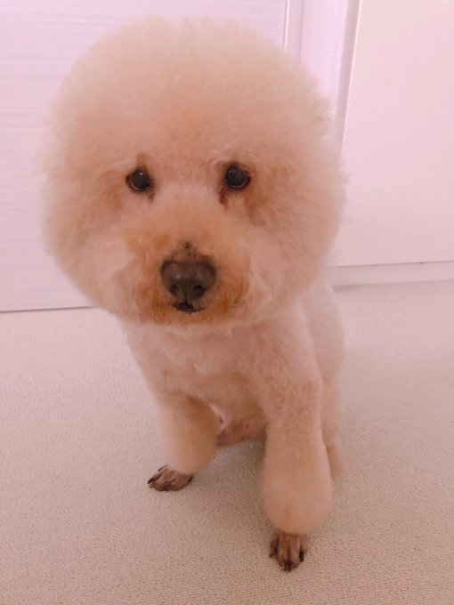 ちゃらーーーーん♡ https://t.co/srE5Yx3q3z<a href="/tag/%E3%83%95%E3%82%A9%E3%83%BC%E3%83%88%E3%83%8A%E3%82%A4%E3%83%88"class="tags"><span>#フォートナイト</span></a>