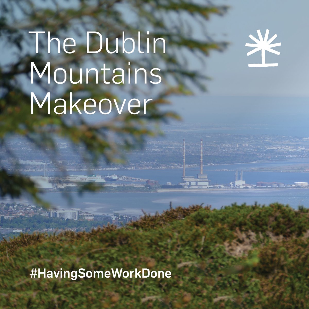 coilltenews's tweet photo. The #DublinMountainsMakeover was developed in collaboration with the @DubMountains The project will enhance and create habitats for wildlife, enrich their recreational appeal to people and improve the wider landscape’s aesthetic value. #HavingSomeWorkDone https://t.co/c9bzZ6AoLY