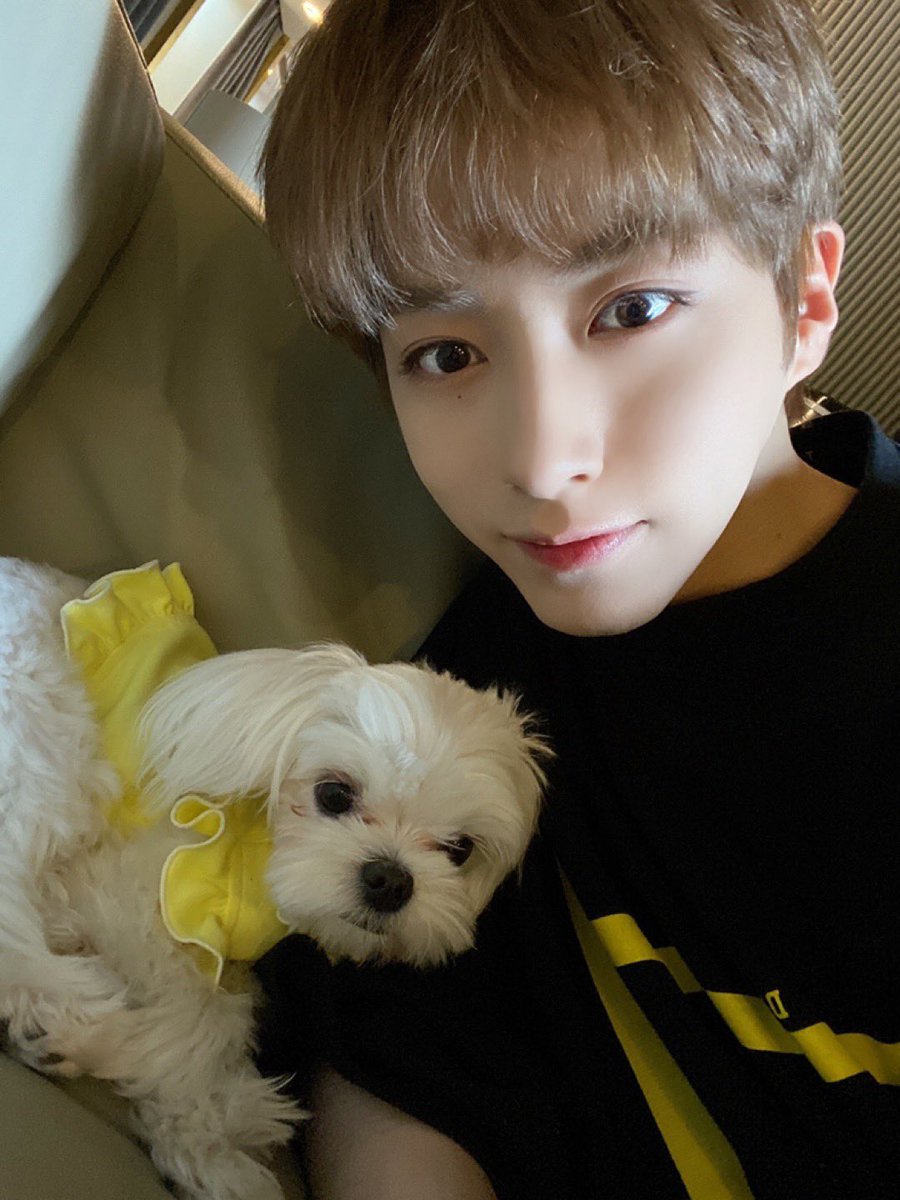 omnieuus's tweet photo. 【ONEUS 日本語訳】
[#シオン]
コミのファン シオン笑 シオンのファンのコミ笑 狭い隅っこに入ってきて寝るコミㅠㅠ💕 これからも僕らは最高の友人だよ コミㅠㅠ 今度はコミと写真撮ることに成功!!! 結論は今日もとっても愛してるよ 超最高の友人で僕の愛するお月様達🌎❤️🌙 https://t.co/VajN5oQFY8