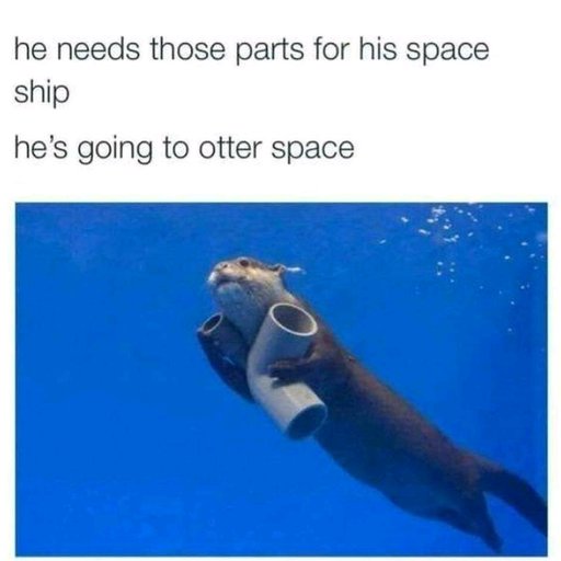 #otterSpace