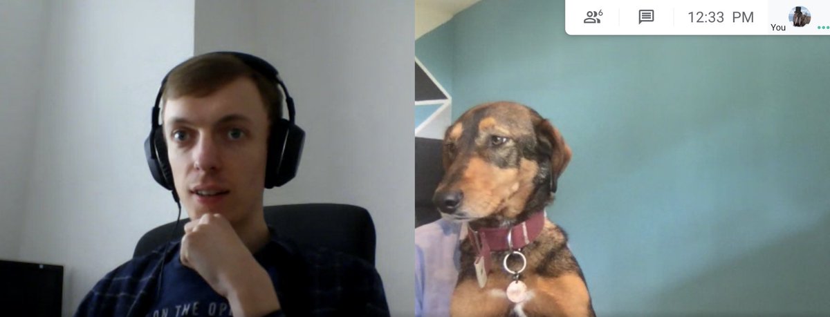 snapsofsteve's tweet photo. Working remotely with my colleagues during the pandemic. They get so much more done compared to me... Can't help but feel they're dissapointed. #slacker https://t.co/l176zQQVU6