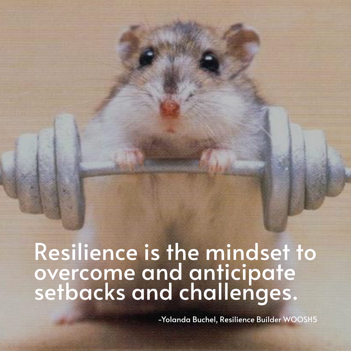 GloballyGreat's tweet photo. “It’s all about your mindset” 

Join the conversation and learn the psychology behind resilience and how it can help your team.

Today at 3 pm DXB time 

Register: https://t.co/Ahh3wG7siH

#togetherwearestronger #togetherwerise #supportyourcommunity #resiliencedubai https://t.co/Kw9EALKVsA