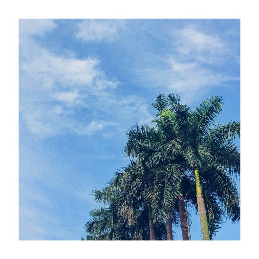 ThangMupMip's tweet photo. https://t.co/CN1q0RB7tp