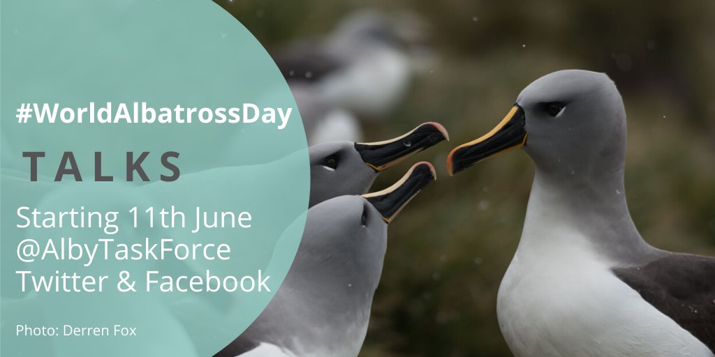 Meet #HumanStars from #AlbatrossTaskForce, @argosfroyanes, @BAS_News, @Natures_Voice, @BirdLife_News & more. Discover what it's like working on the ground in #AlbatrossConservation in a series of talks in the run-up to #WorldAlbatrossDay, culminating with live Q&A! Details soon!