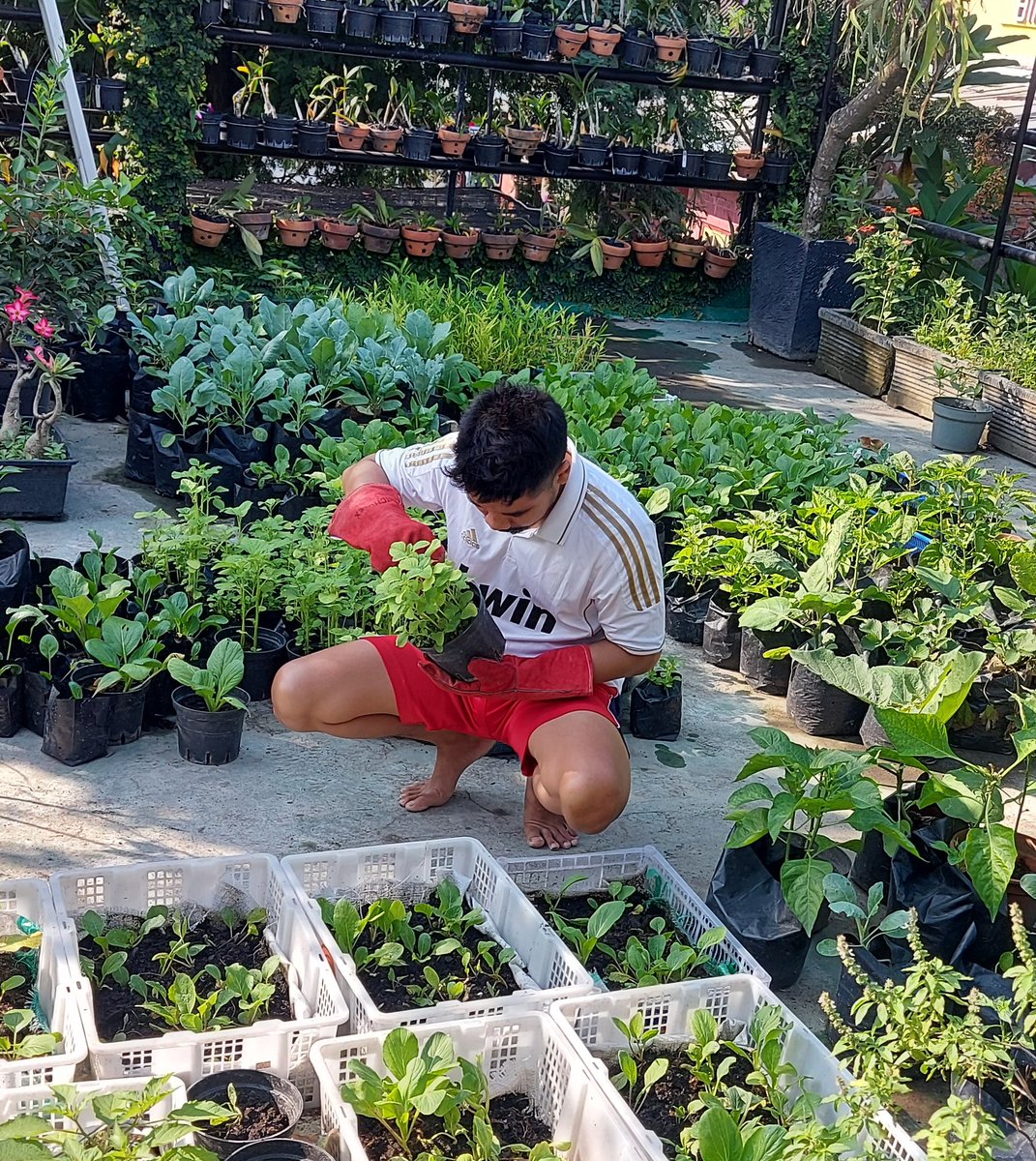 𝐆𝐏 🍉 tweet media
