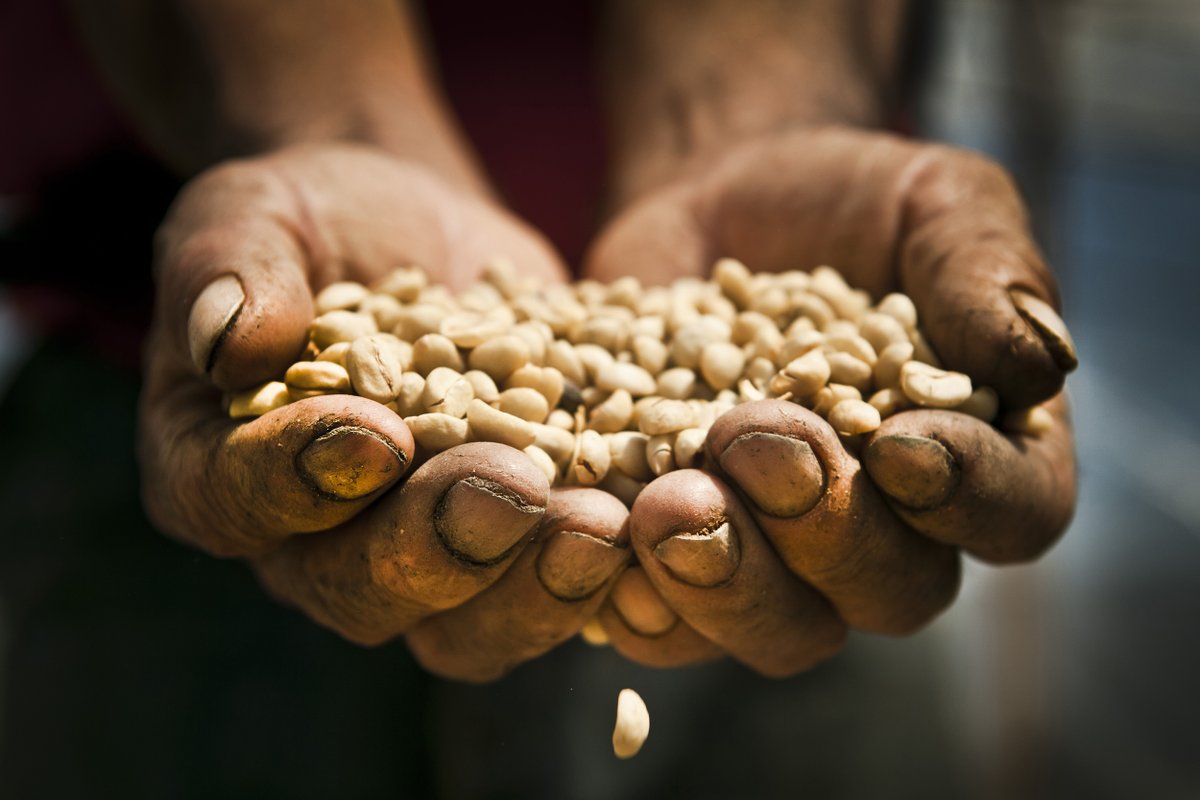 La <a href="/AECID_es/">AECID</a> cofinancia el proyecto <a href="/AlimentaODS/">AlimentaODS</a> de <a href="/EnraizaDerechos/">Enraíza Derechos</a> y @Ecodes junto a empresas de <a href="/PactoMundial/">Pacto Mundial de la ONU España</a>, una iniciativa educativa para impulsar el compromiso con los sistemas alimentarios sostenibles en línea con los #ODS 🌾

ℹ️ bit.ly/30aVZiR
#Agenda2030