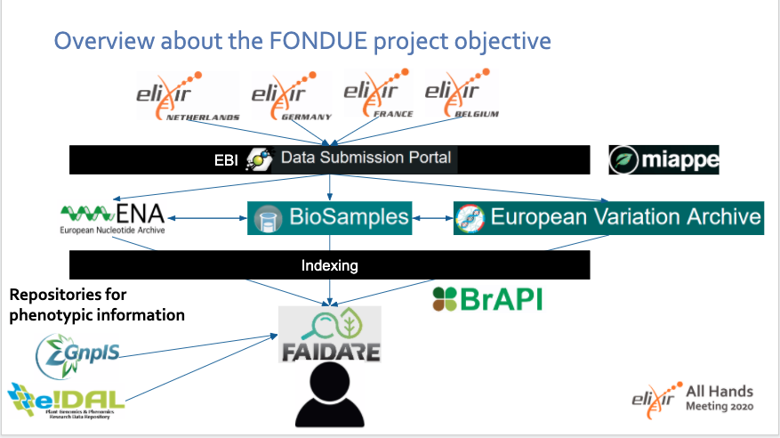 ELIXIREurope's tweet photo. @cyril_pommier @serenascollen @B1MG_Project @CinecaProject @drtkeane How to #FAIRify and link plant genotyping data? @basti_beier is presenting the FONDUE Implementation Study - FAIR-ification of Plant Genotyping Data and its linking to Phenotyping using ELIXIR Platforms: https://t.co/6cUtdCnykl

#ELIXIR20 @denbiOffice #FAIRdata https://t.co/Yj1Giw1wXN