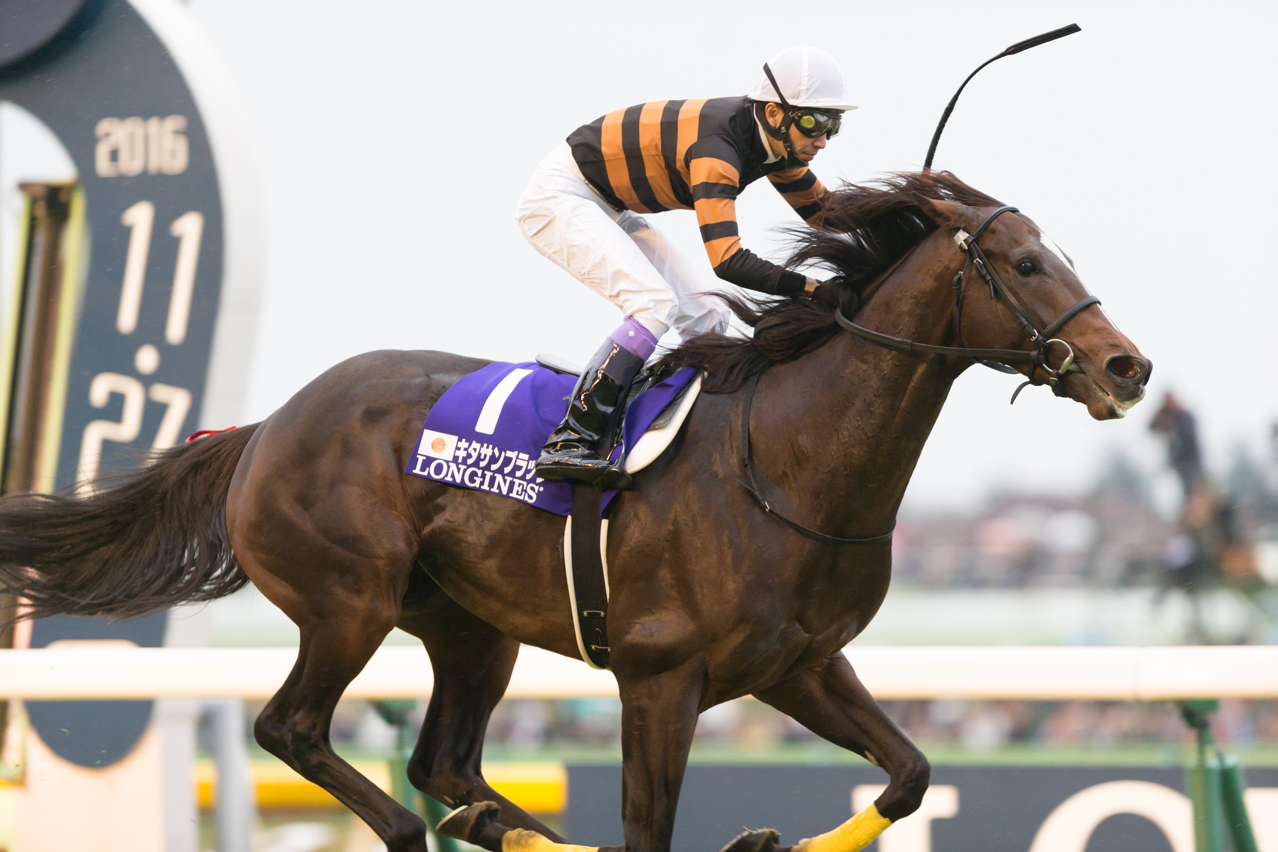 JRA-VAN公式 على X: 